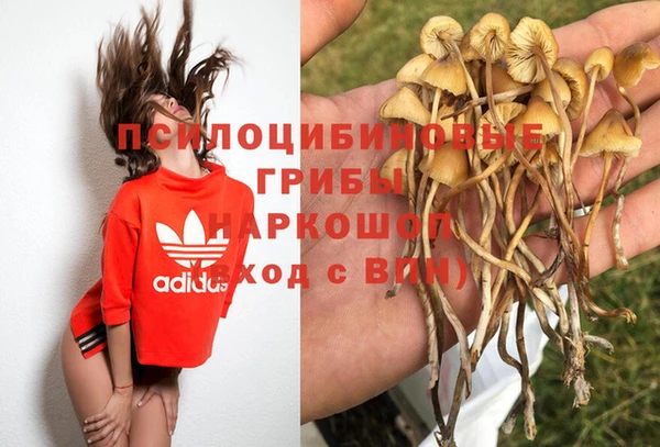 трава Зеленодольск