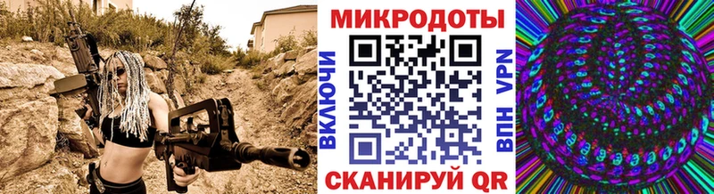 Псилоцибиновые грибы Cubensis  Сосногорск 